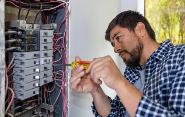 Best Affordable Electrician  in Dimondale, MI